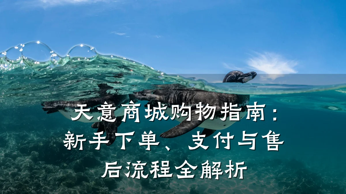 天意商城购物指南:新手下单、支付与售后流程全解析