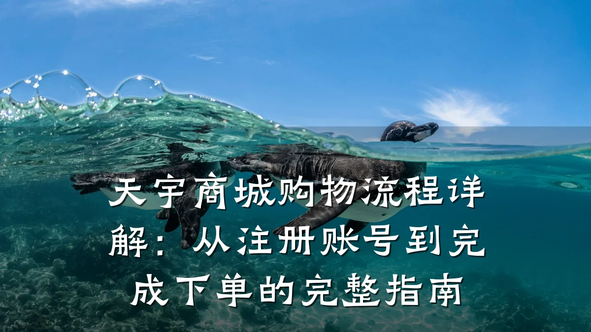 天宇商城购物流程详解:从注册账号到完成下单的完整指南