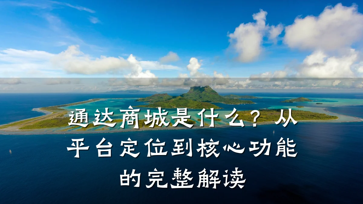 通达商城是什么?从平台定位到核心功能的完整解读