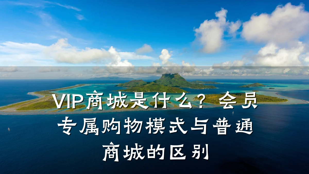 VIP商城是什么?会员专属购物模式与普通商城的区别