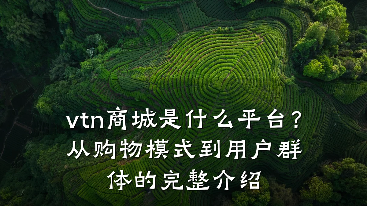 vtn商城是什么平台?从购物模式到用户群体的完整介绍