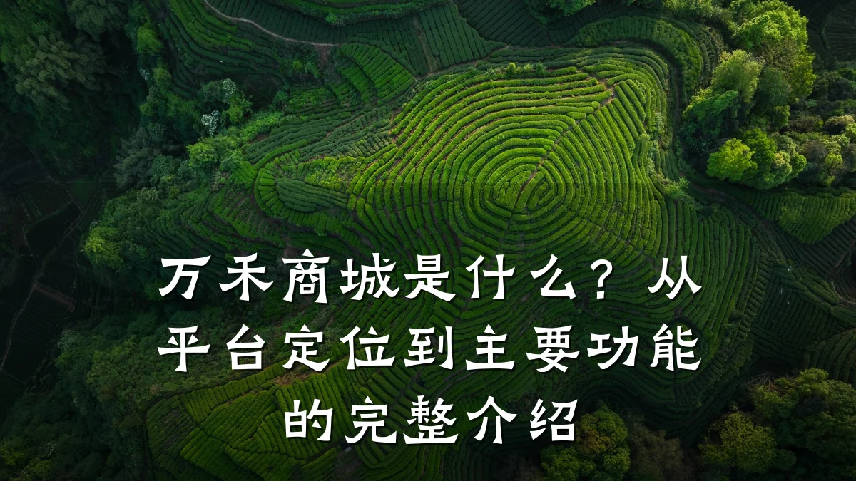 万禾商城是什么?从平台定位到主要功能的完整介绍