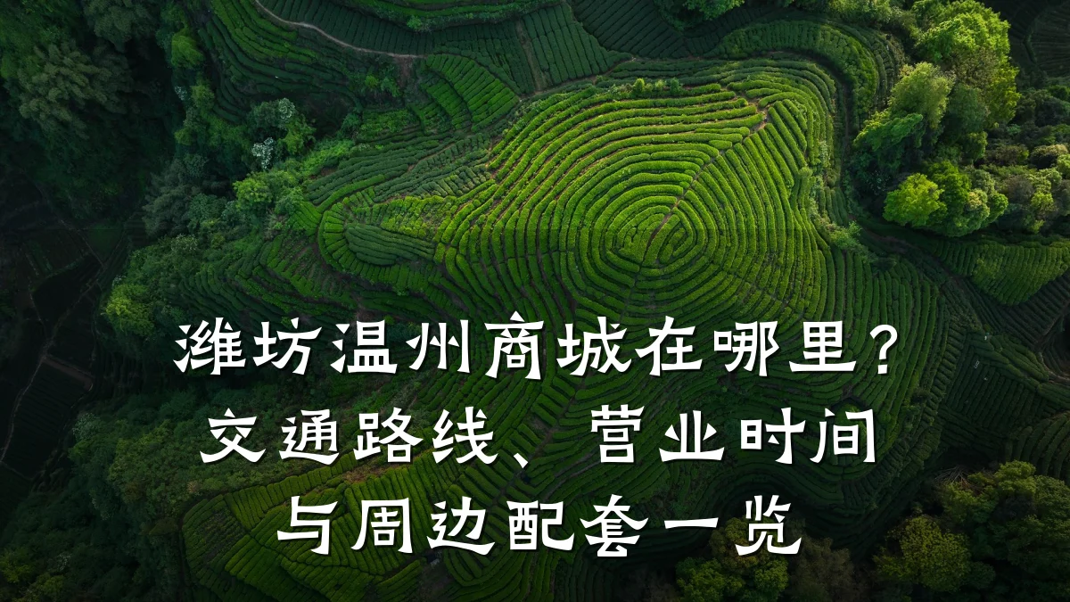 潍坊温州商城在哪里?交通路线、营业时间与周边配套一览