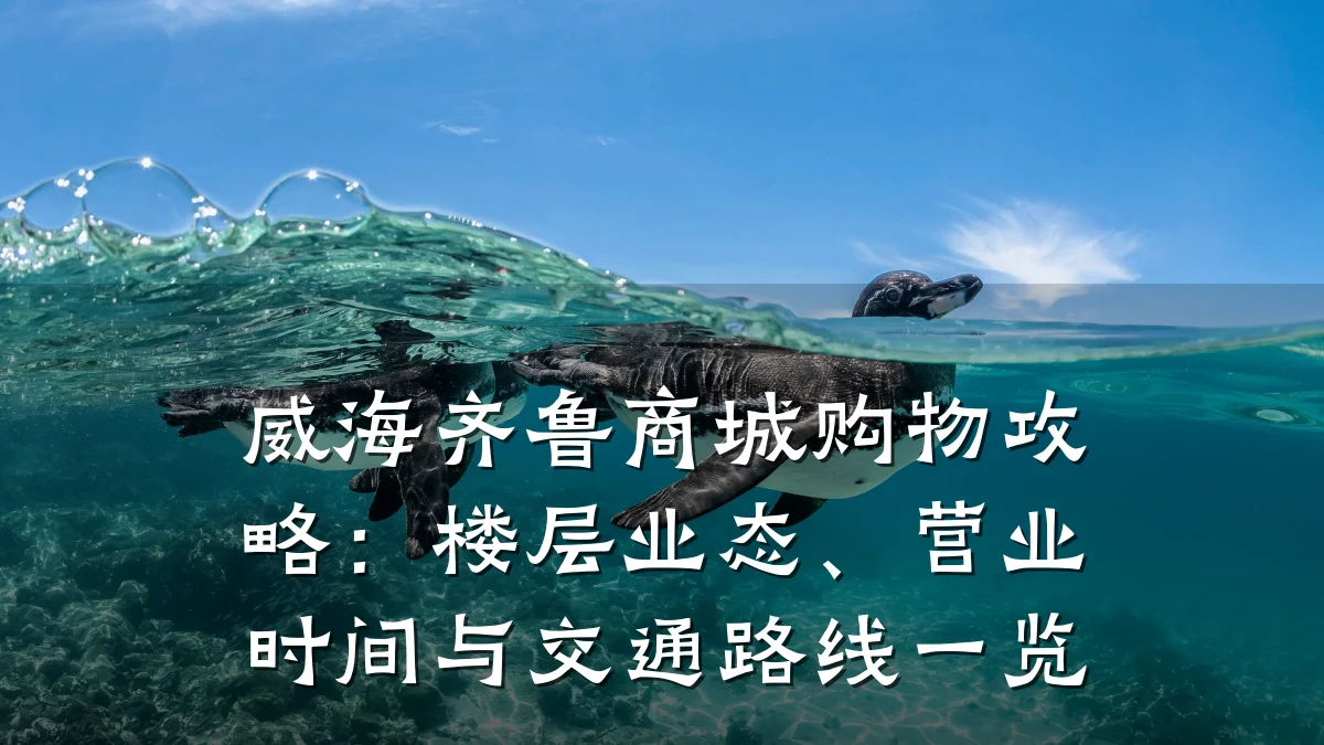 威海齐鲁商城购物攻略:楼层业态、营业时间与交通路线一览