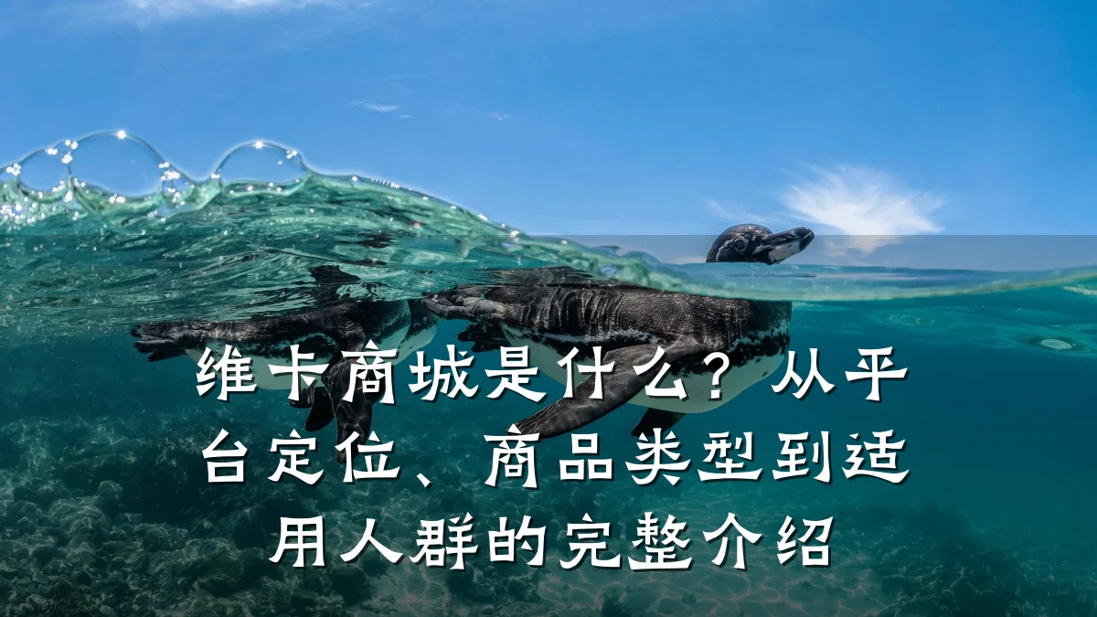 维卡商城是什么?从平台定位、商品类型到适用人群的完整介绍