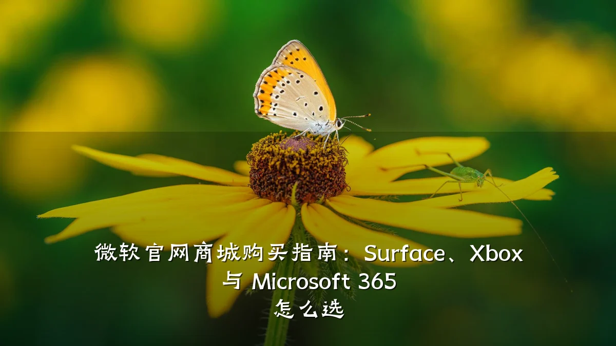 微软官网商城购买指南:Surface、Xbox 与 Microsoft 365 怎么选