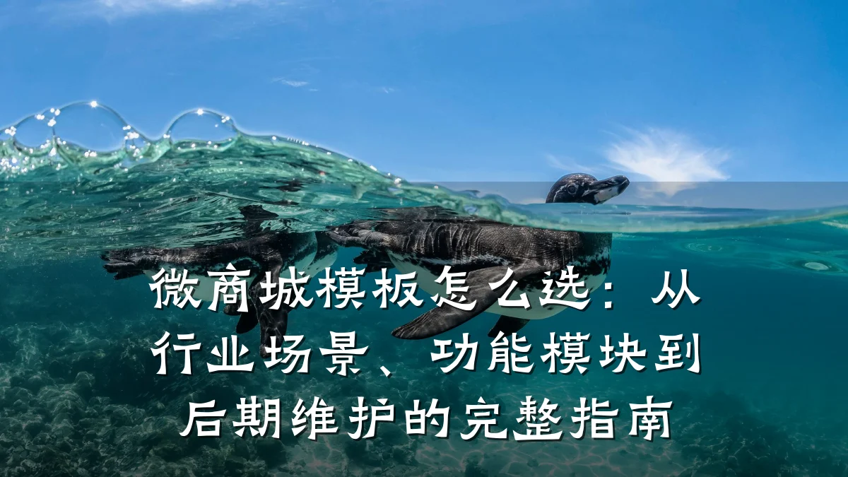 微商城模板怎么选:从行业场景、功能模块到后期维护的完整指南