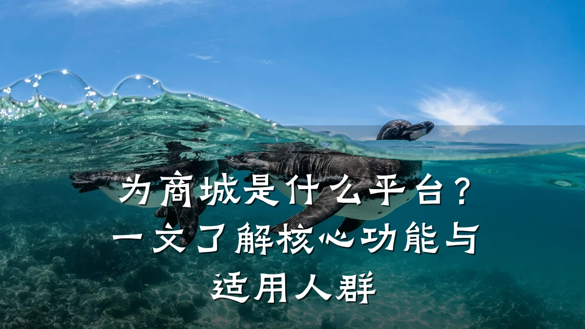 为商城是什么平台?一文了解核心功能与适用人群