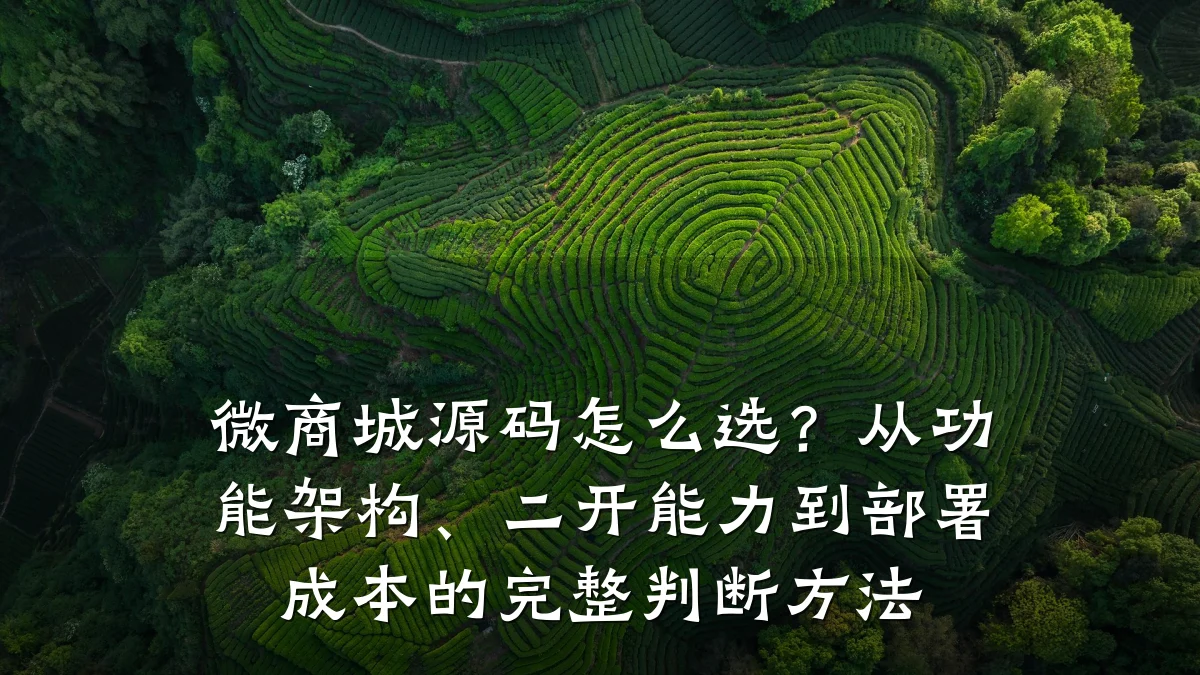 微商城源码怎么选?从功能架构、二开能力到部署成本的完整判断方法