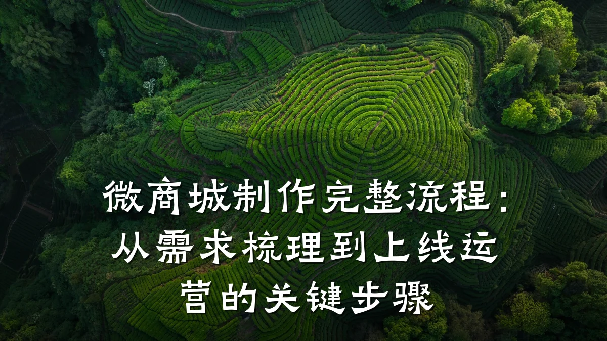 微商城制作完整流程:从需求梳理到上线运营的关键步骤