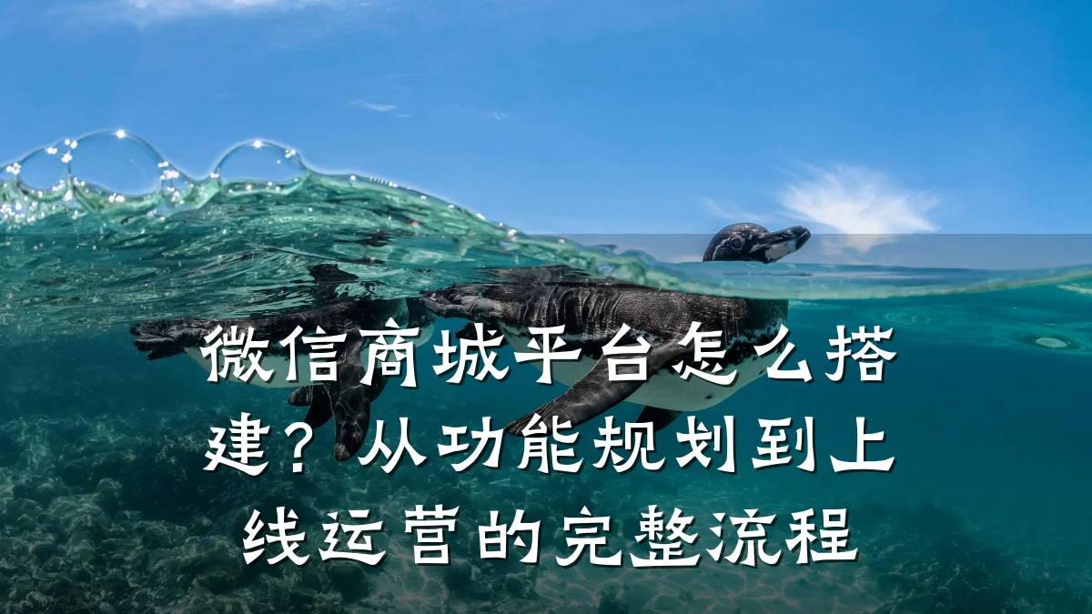 微信商城平台怎么搭建?从功能规划到上线运营的完整流程