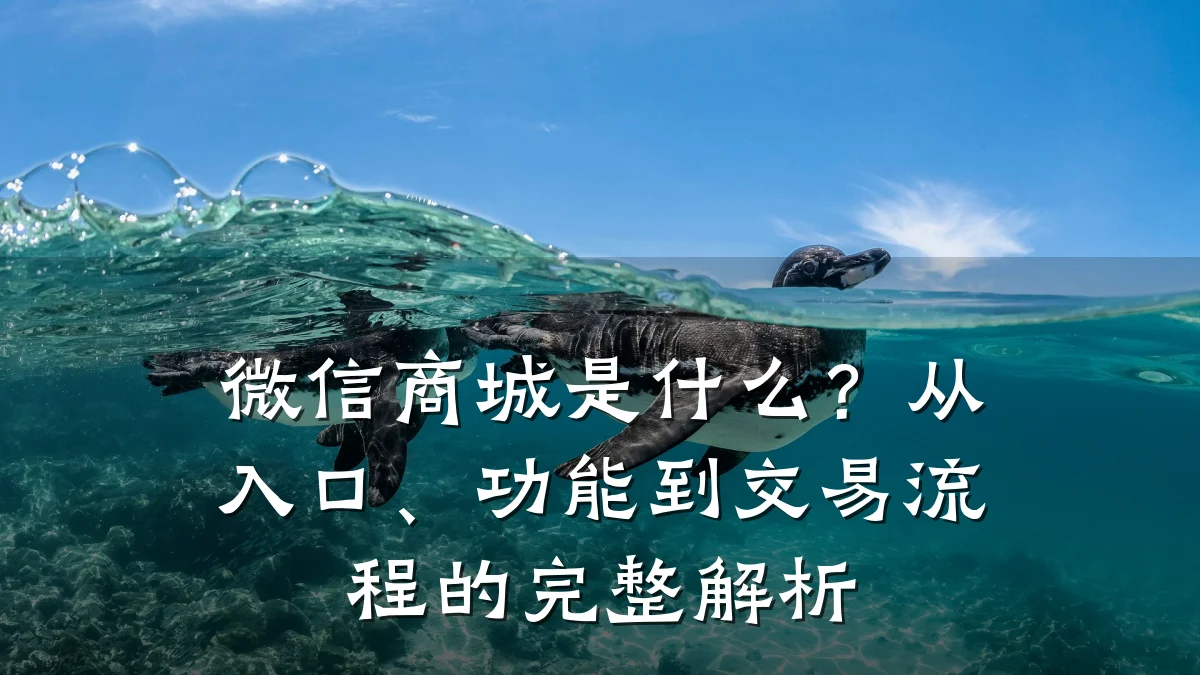 微信商城是什么?从入口、功能到交易流程的完整解析