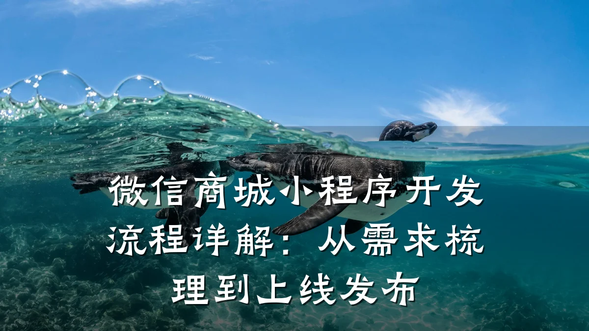 微信商城小程序开发流程详解:从需求梳理到上线发布