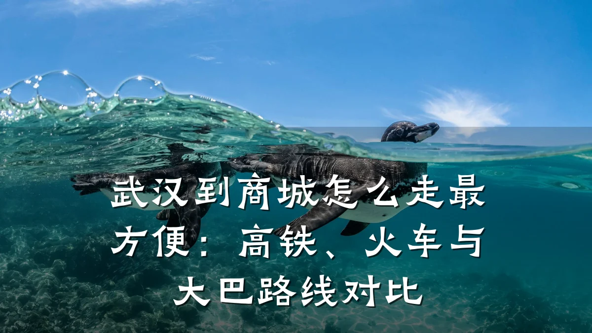 武汉到商城怎么走最方便:高铁、火车与大巴路线对比