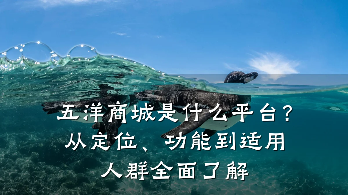 五洋商城是什么平台?从定位、功能到适用人群全面了解