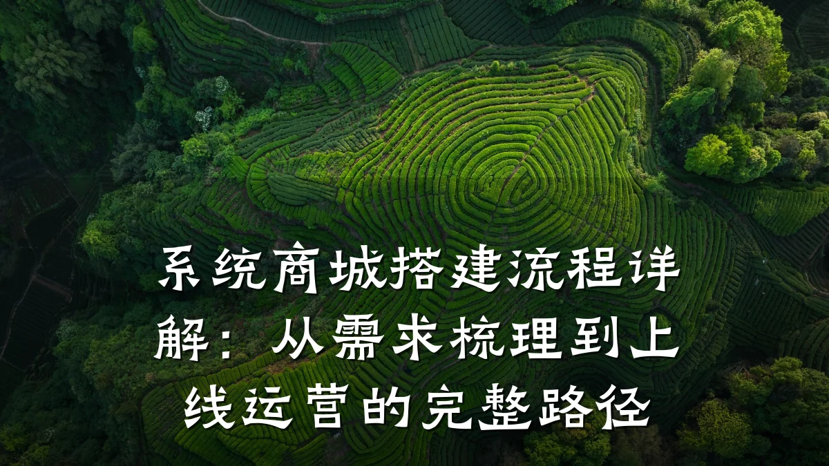 系统商城搭建流程详解:从需求梳理到上线运营的完整路径