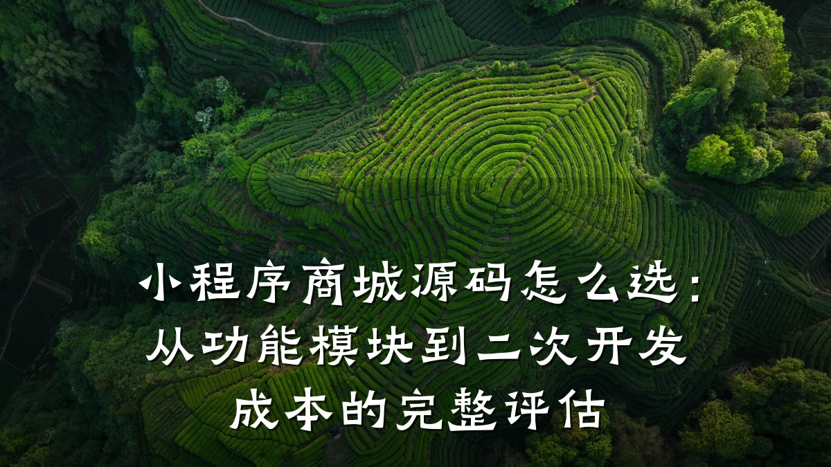 小程序商城源码怎么选：从功能模块到二次开发成本的完整评估