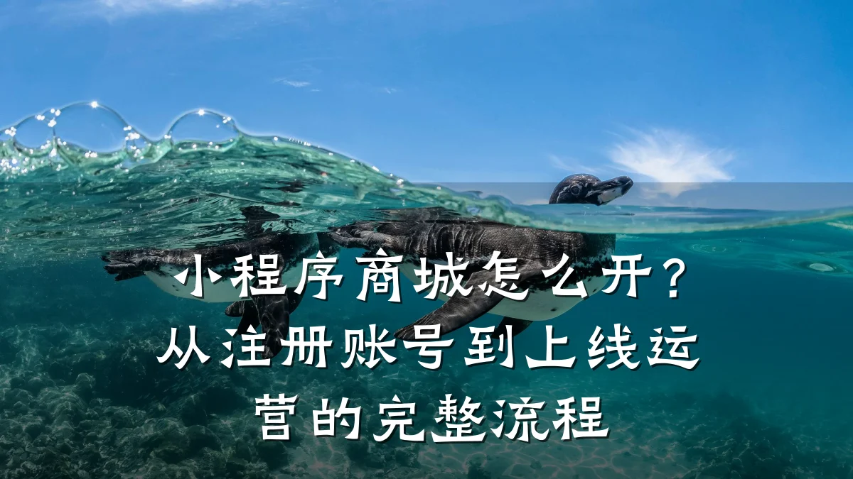 小程序商城怎么开？从注册账号到上线运营的完整流程