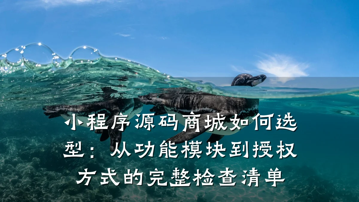 小程序源码商城如何选型:从功能模块到授权方式的完整检查清单
