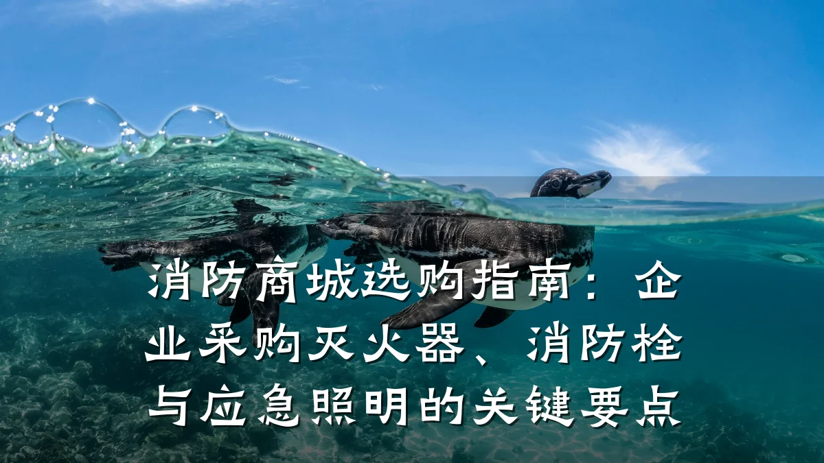消防商城选购指南:企业采购灭火器、消防栓与应急照明的关键要点