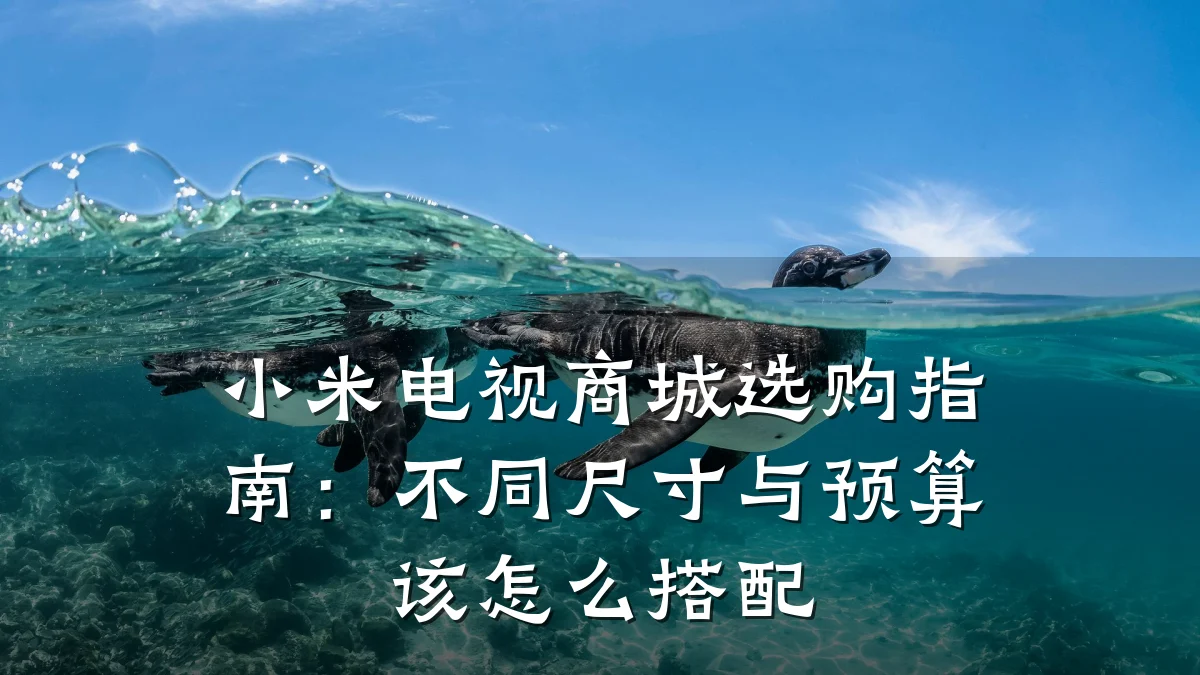 小米电视商城选购指南:不同尺寸与预算该怎么搭配