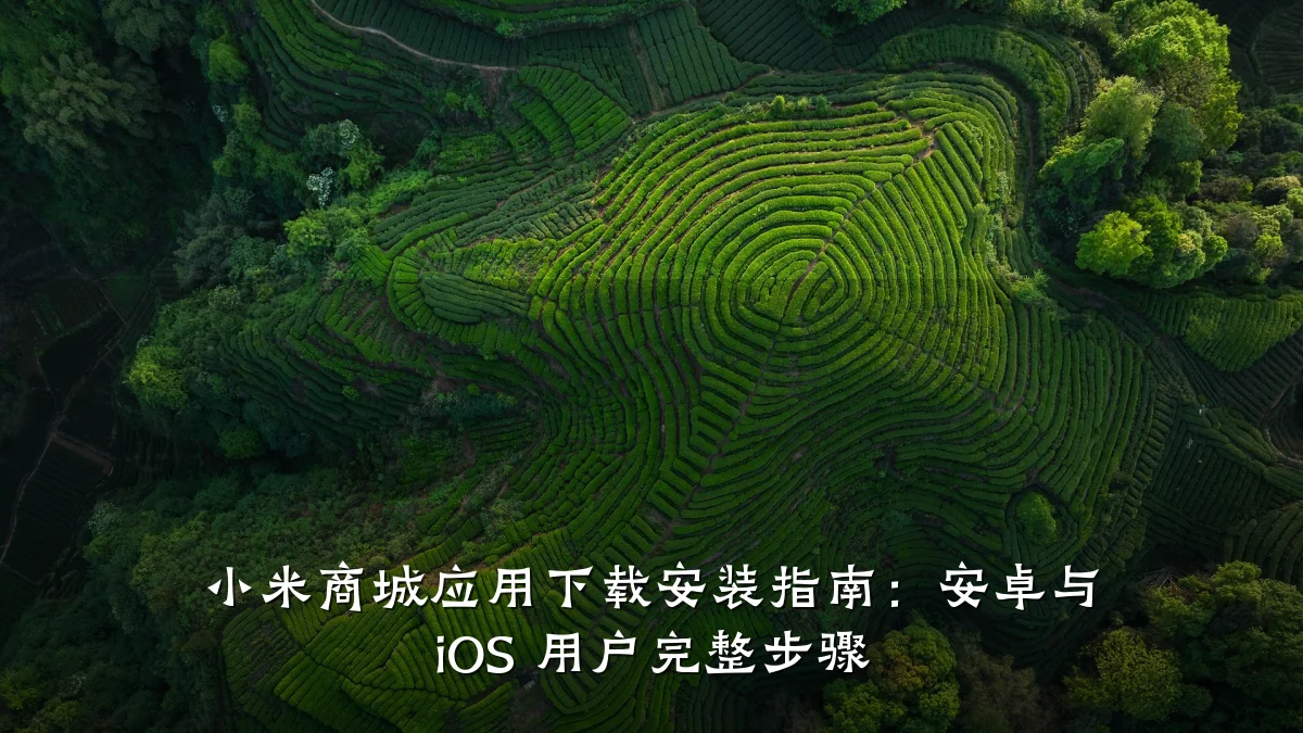 小米商城应用下载安装指南:安卓与 iOS 用户完整步骤