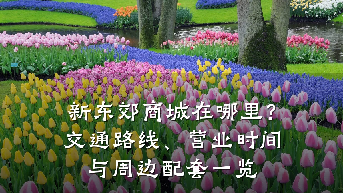 新东郊商城在哪里?交通路线、营业时间与周边配套一览