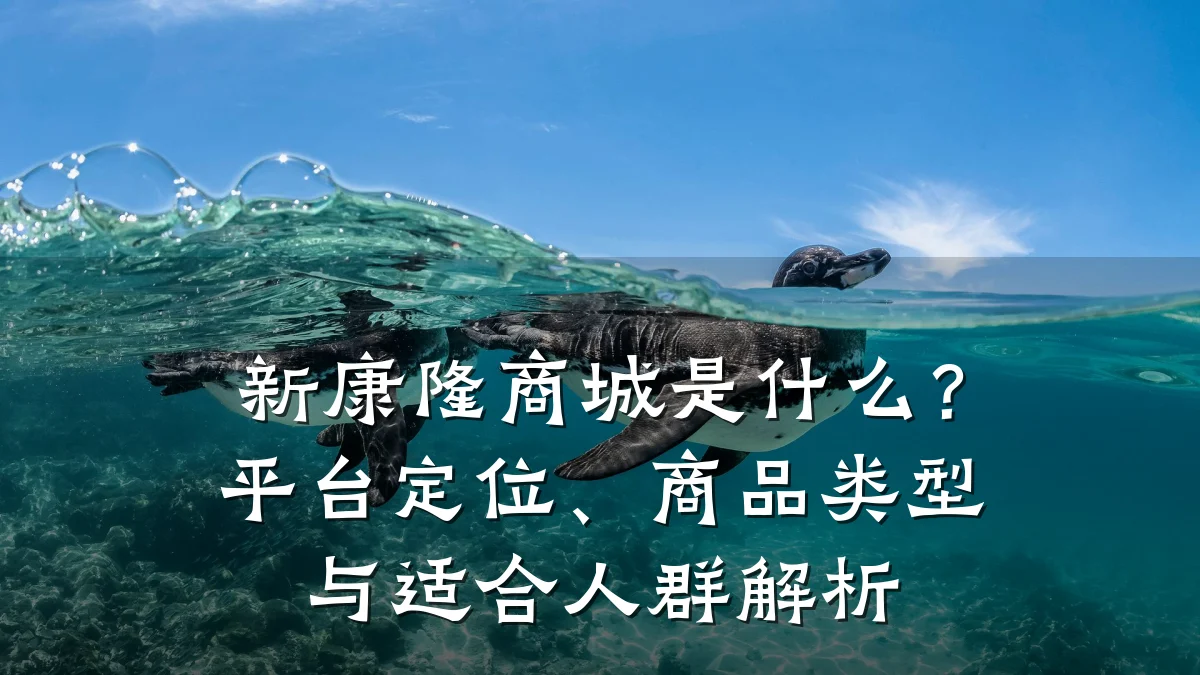 新康隆商城是什么?平台定位、商品类型与适合人群解析