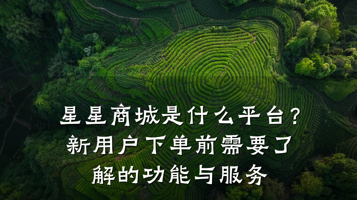 星星商城是什么平台?新用户下单前需要了解的功能与服务