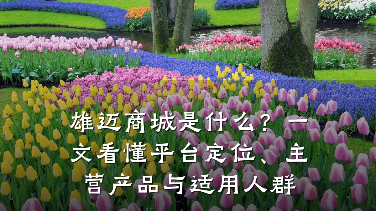 雄迈商城是什么？一文看懂平台定位、主营产品与适用人群