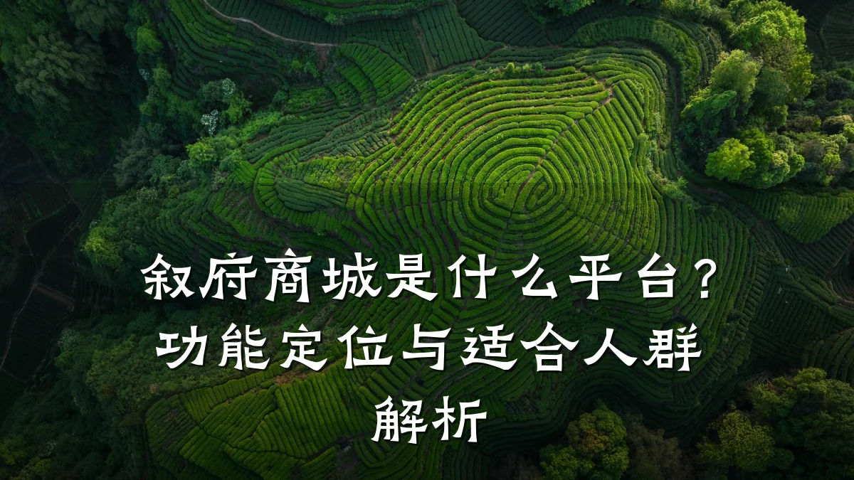 叙府商城是什么平台？功能定位与适合人群解析