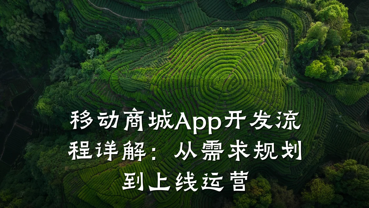 移动商城App开发流程详解:从需求规划到上线运营