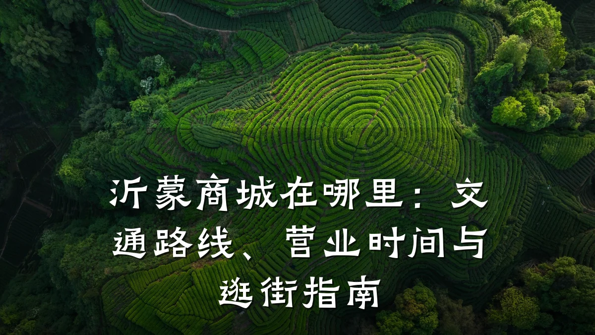 沂蒙商城在哪里:交通路线、营业时间与逛街指南