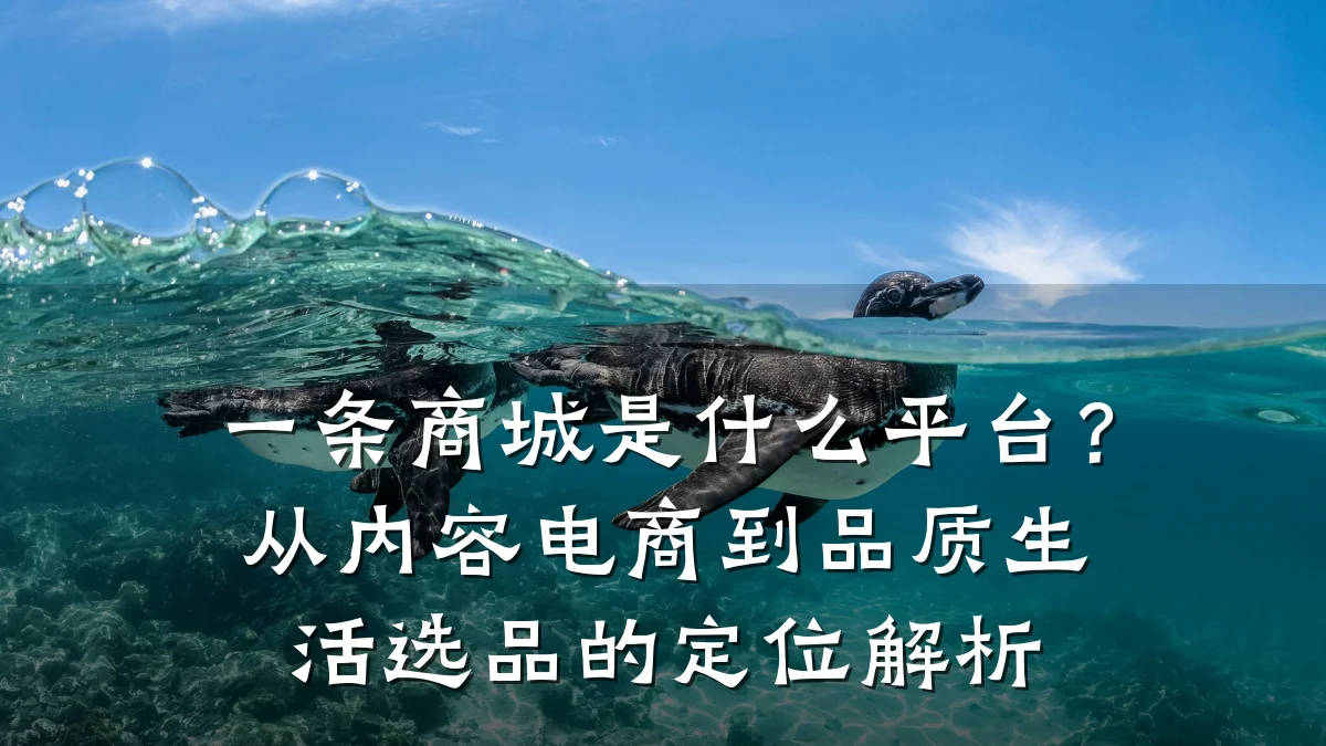 一条商城是什么平台？从内容电商到品质生活选品的定位解析
