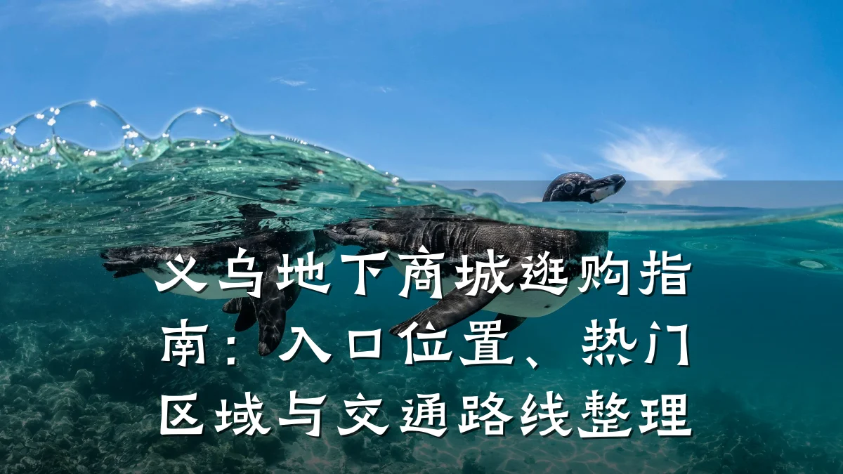 义乌地下商城逛购指南：入口位置、热门区域与交通路线整理