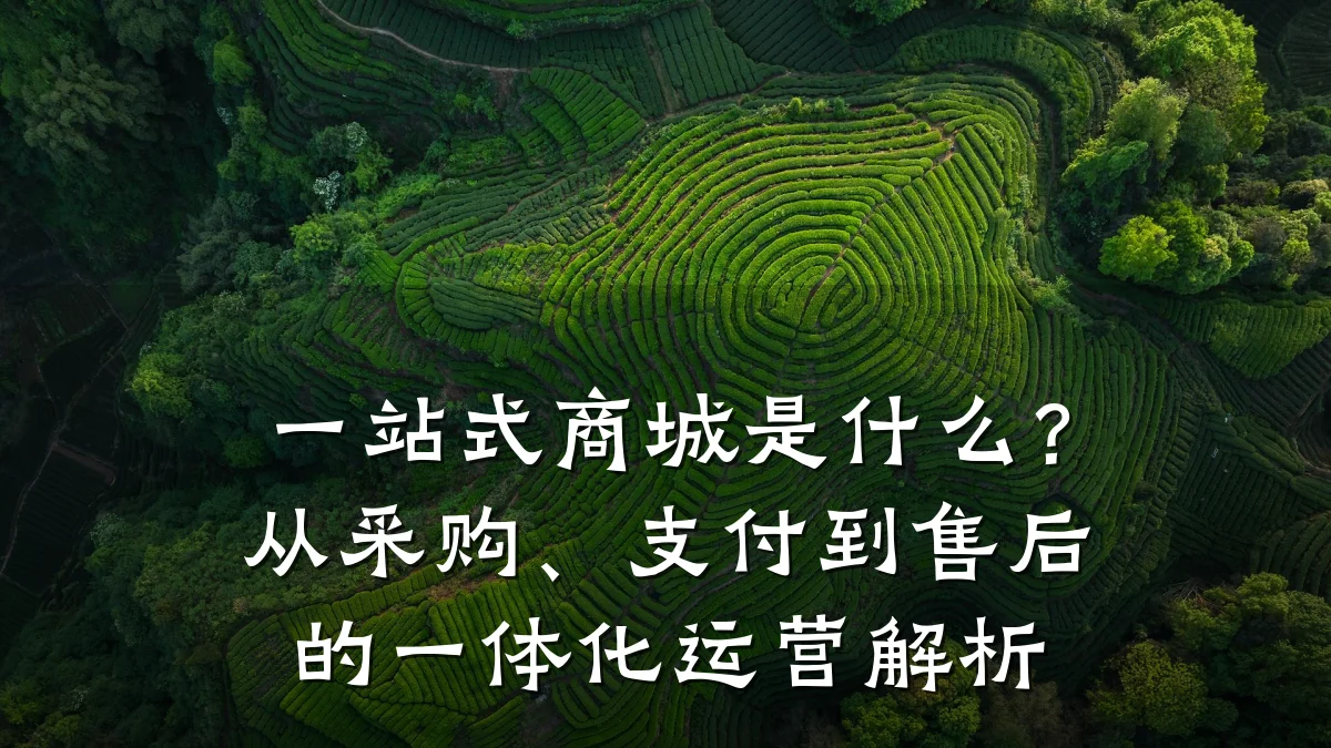 一站式商城是什么?从采购、支付到售后的一体化运营解析