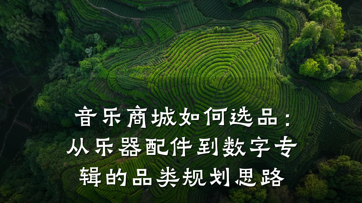 音乐商城如何选品:从乐器配件到数字专辑的品类规划思路