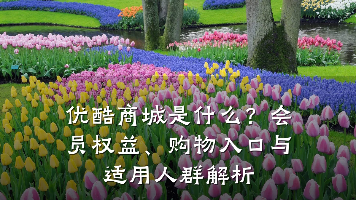 优酷商城是什么?会员权益、购物入口与适用人群解析