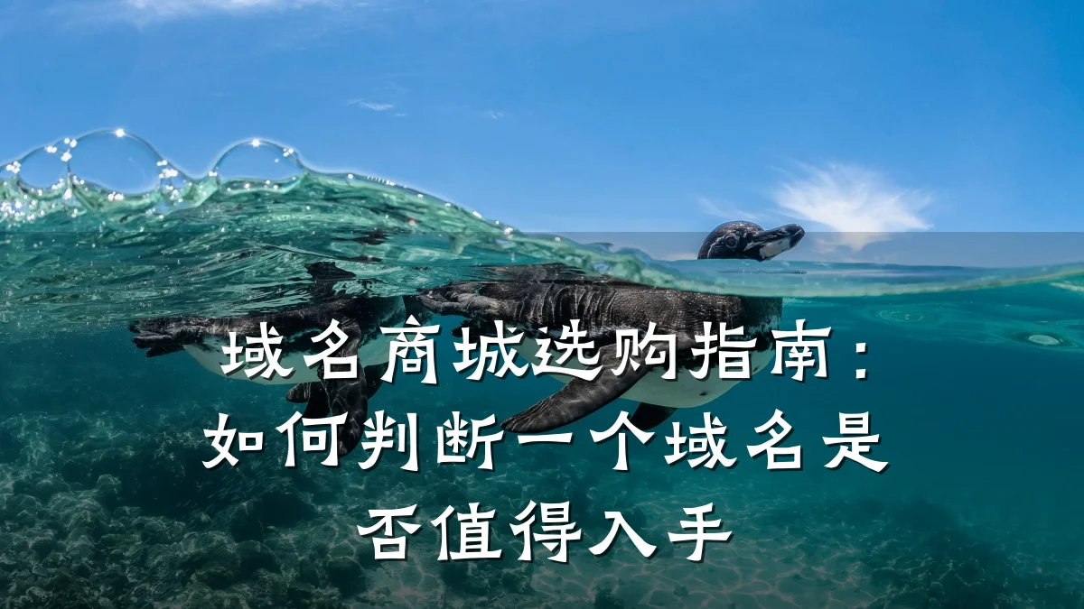 域名商城选购指南:如何判断一个域名是否值得入手