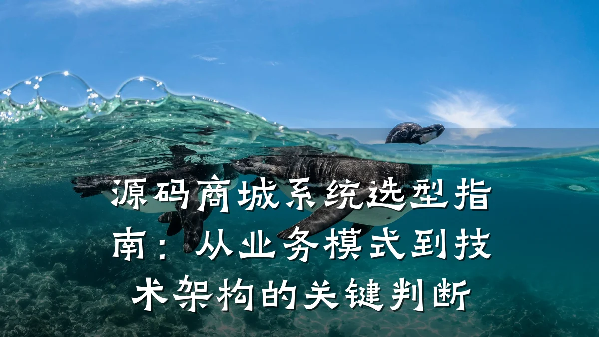 源码商城系统选型指南:从业务模式到技术架构的关键判断
