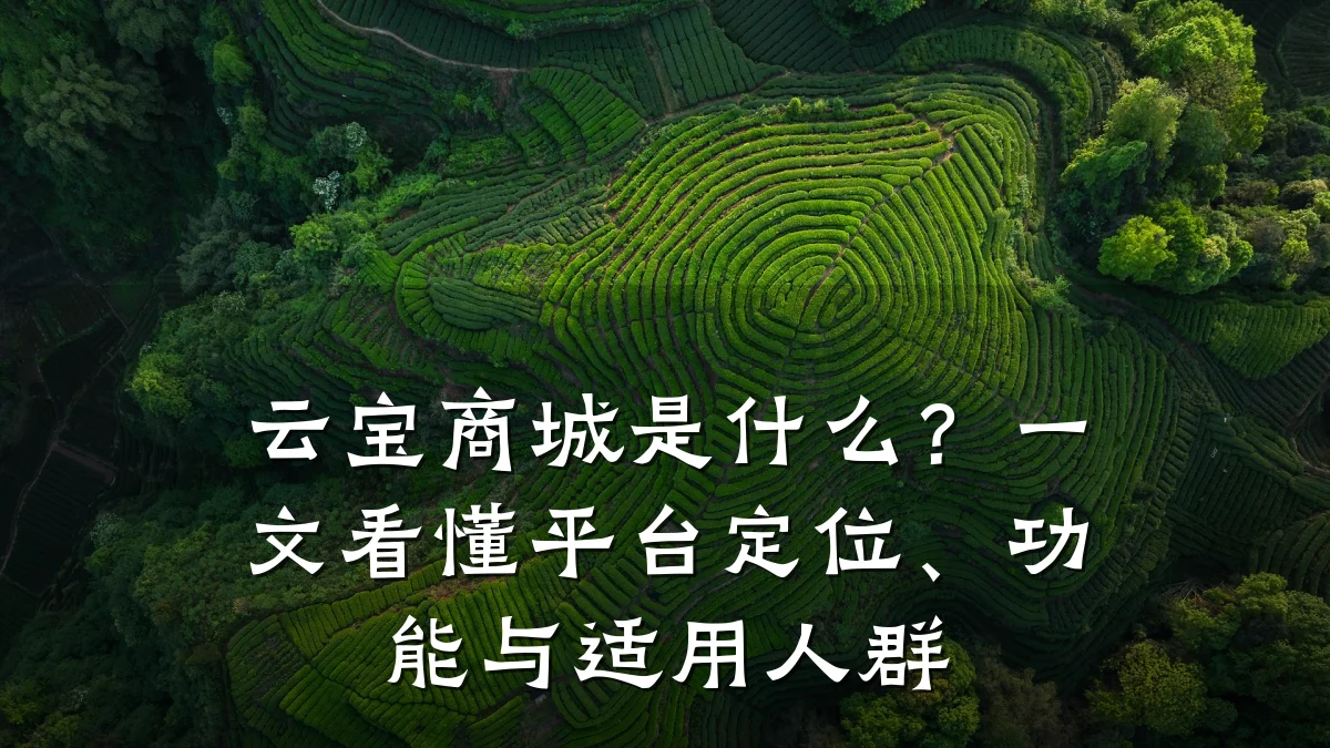 云宝商城是什么?一文看懂平台定位、功能与适用人群