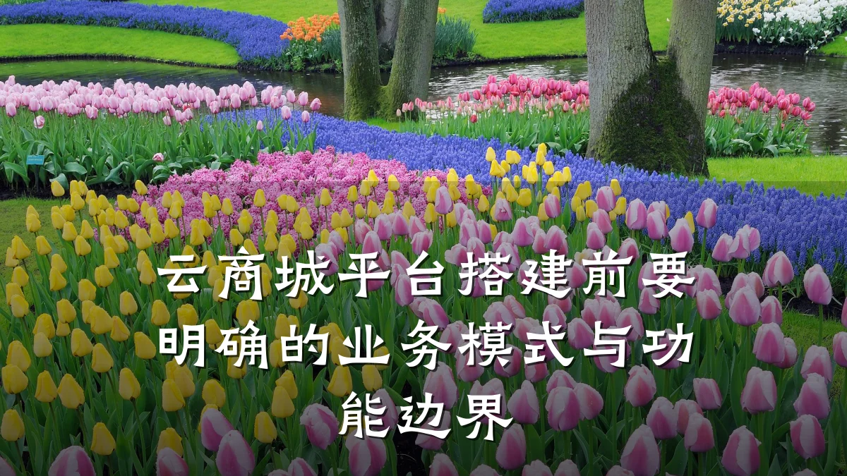 云商城平台搭建前要明确的业务模式与功能边界