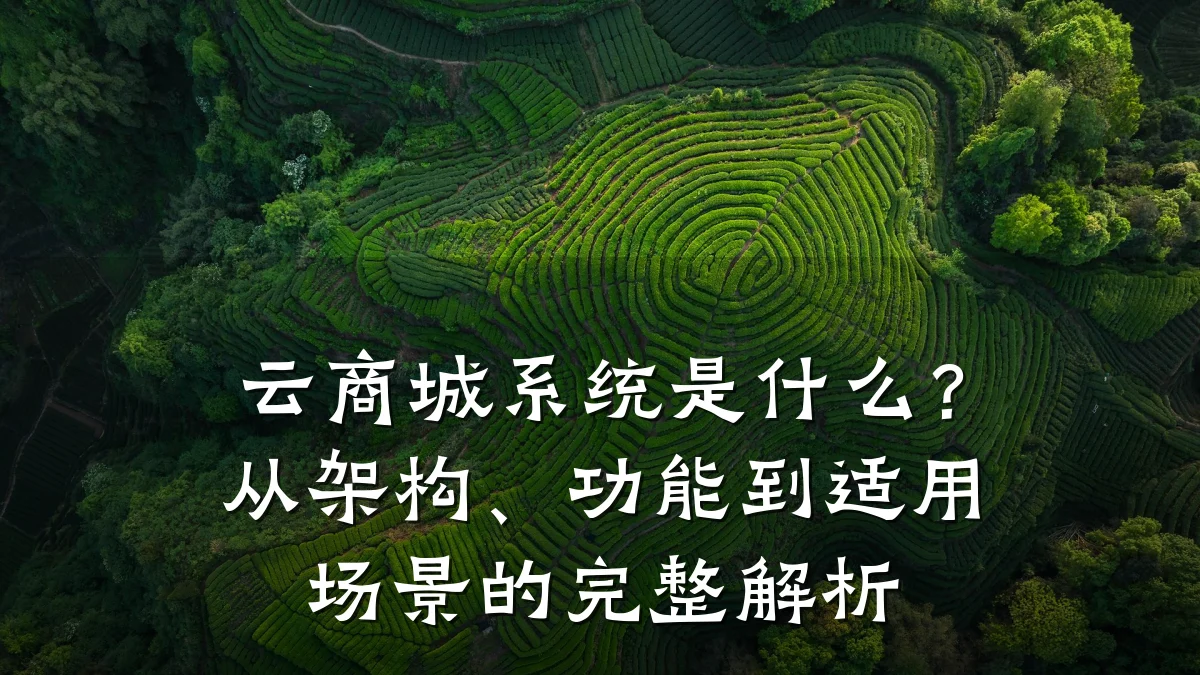 云商城系统是什么?从架构、功能到适用场景的完整解析
