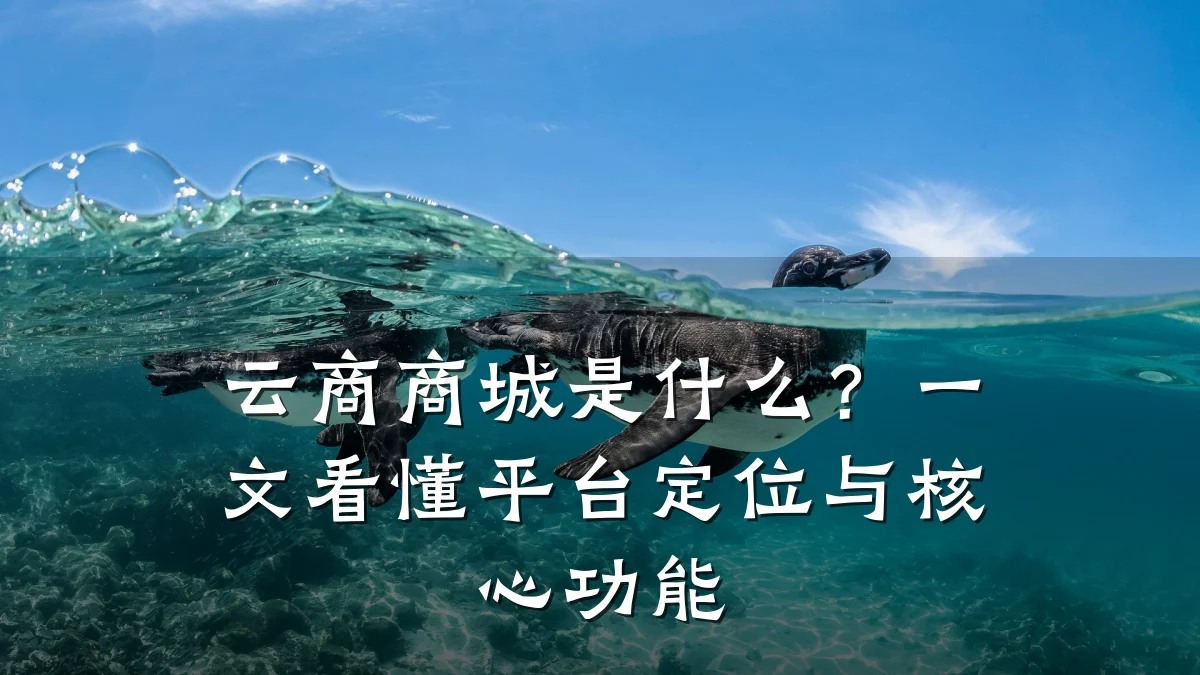 云商商城是什么?一文看懂平台定位与核心功能