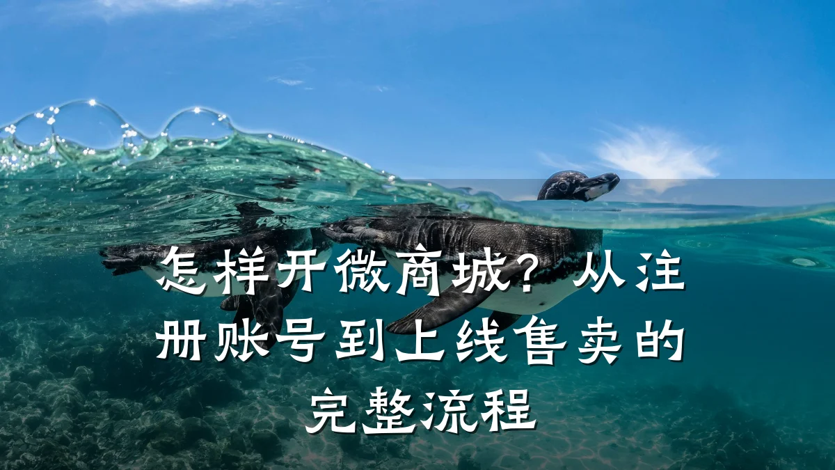 怎样开微商城?从注册账号到上线售卖的完整流程
