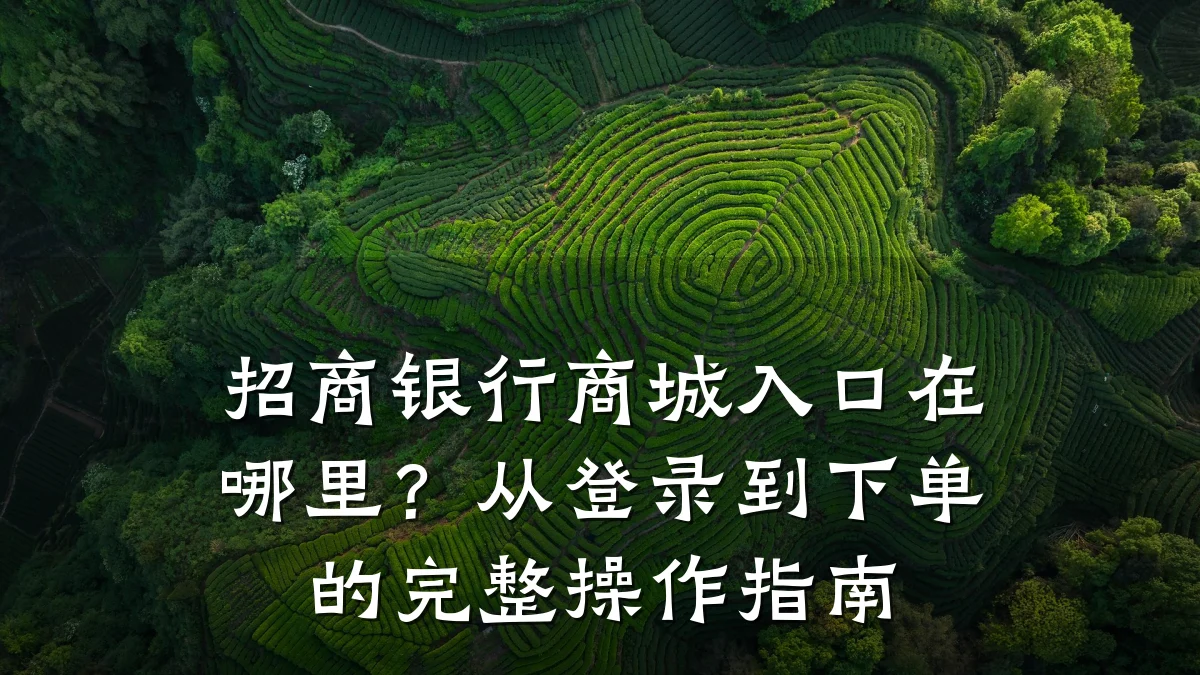招商银行商城入口在哪里?从登录到下单的完整操作指南