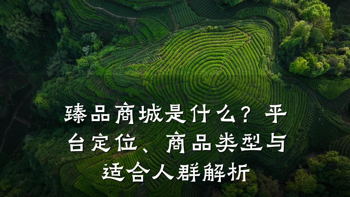 臻品商城是什么?平台定位、商品类型与适合人群解析