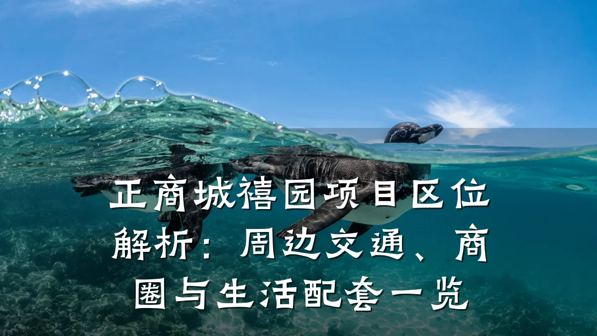 正商城禧园项目区位解析:周边交通、商圈与生活配套一览