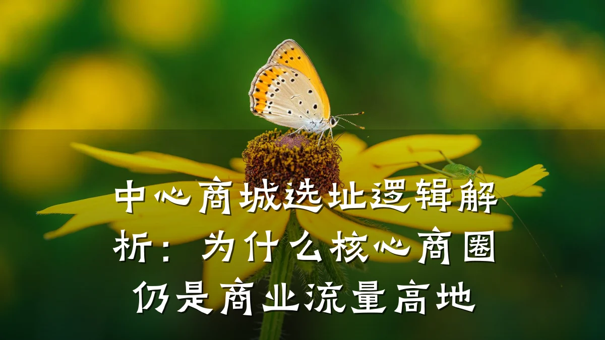 中心商城选址逻辑解析:为什么核心商圈仍是商业流量高地