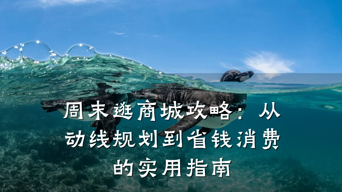周末逛商城攻略：从动线规划到省钱消费的实用指南